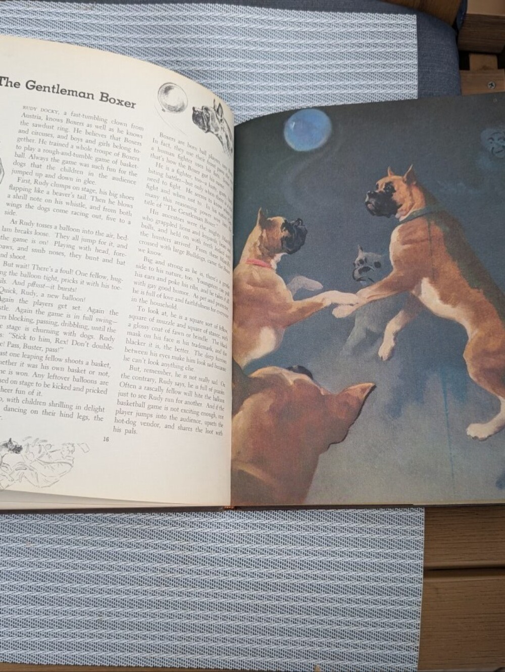 Rare Dog Book Big Beautiful Artwork Hardback Boxer Poodle Lab Bulldog Collie ++